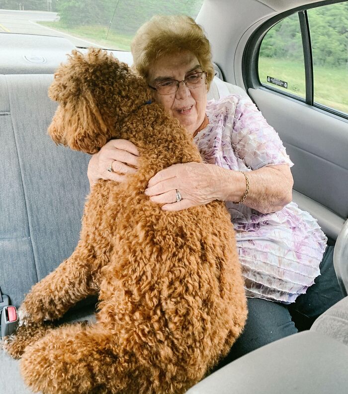 Mi perro se pone muy ansioso cuando va en coche, así que me abuela pidió sentarse con él en la parte de atrás. Durante todo el viaje escuché que le decía: “Está bien, casi llegamos, muchacho valiente”