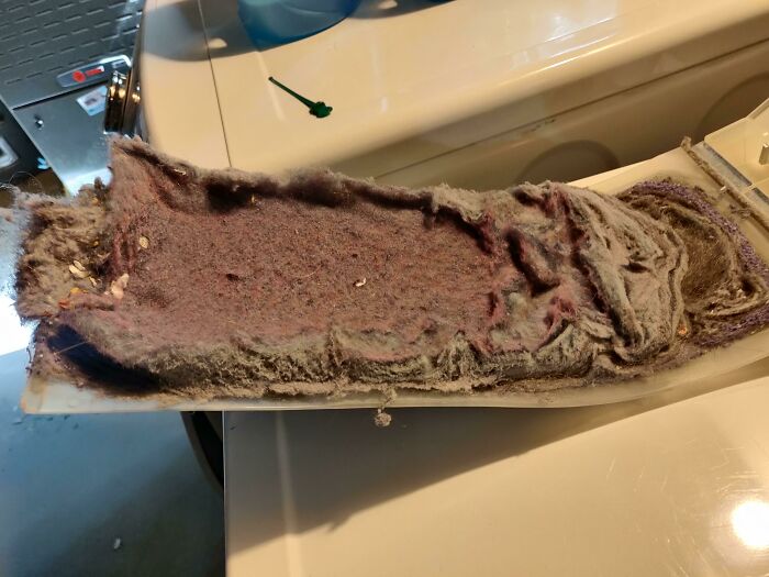 Mientras estás aquí... ¿Puedes ver por qué mi secadora no seca?