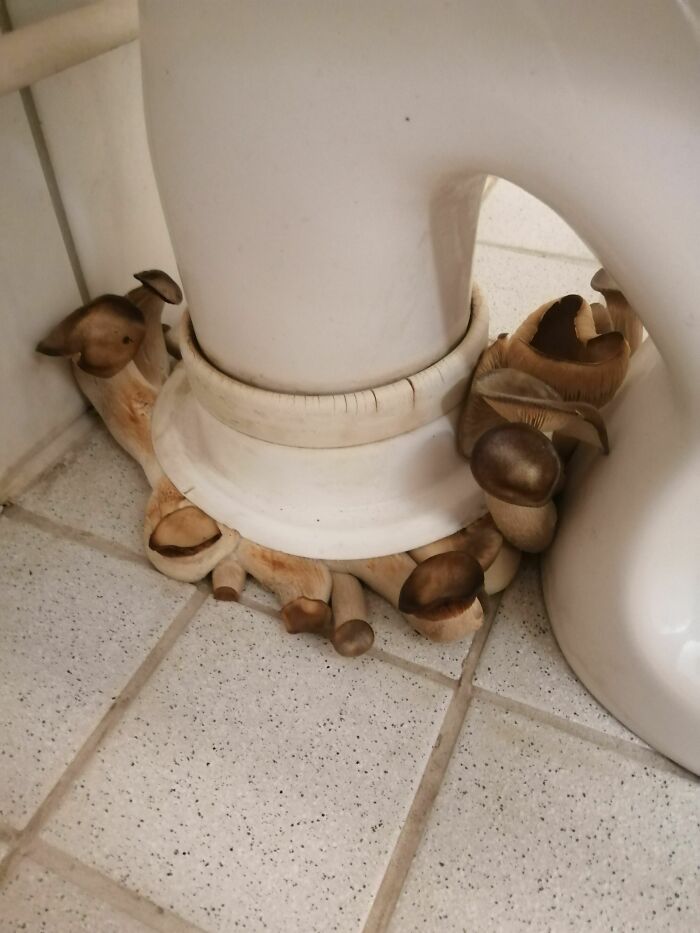 Instalación respetuosa con el medio ambiente