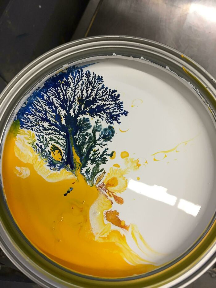 Árbol en una colina