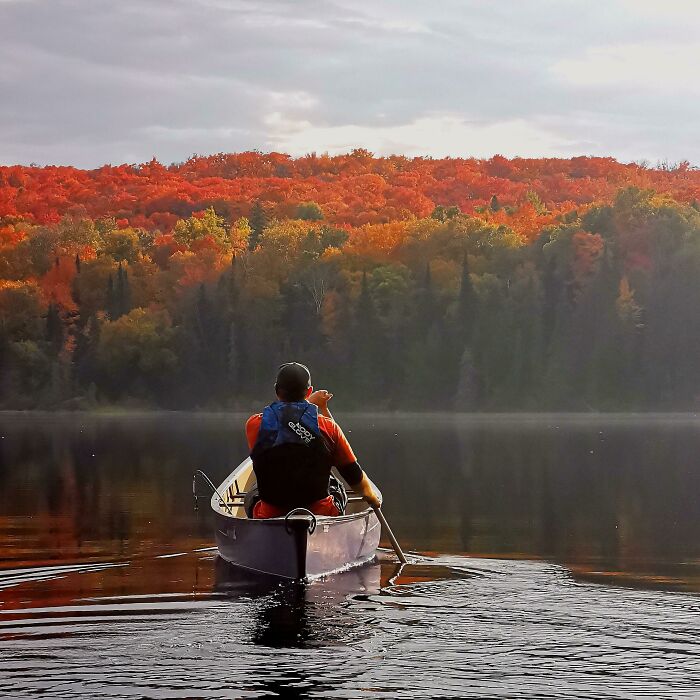 Los colores en Algonquin este fin de semana fueron increíbles