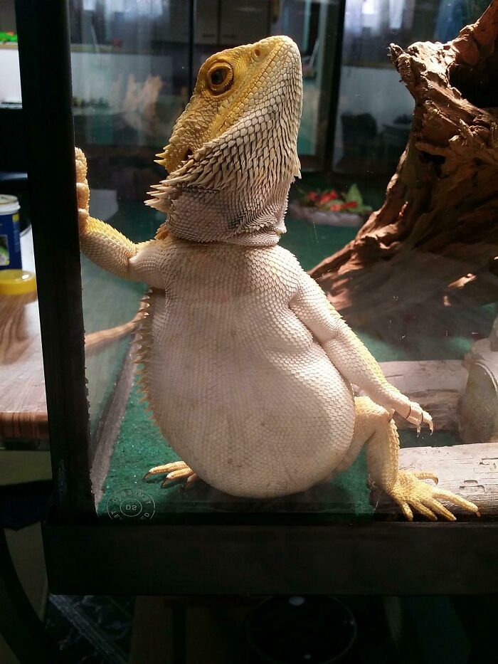 Hola nena