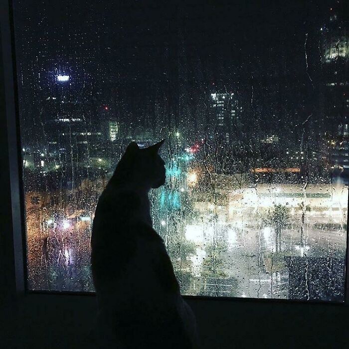 La refugiada Irma