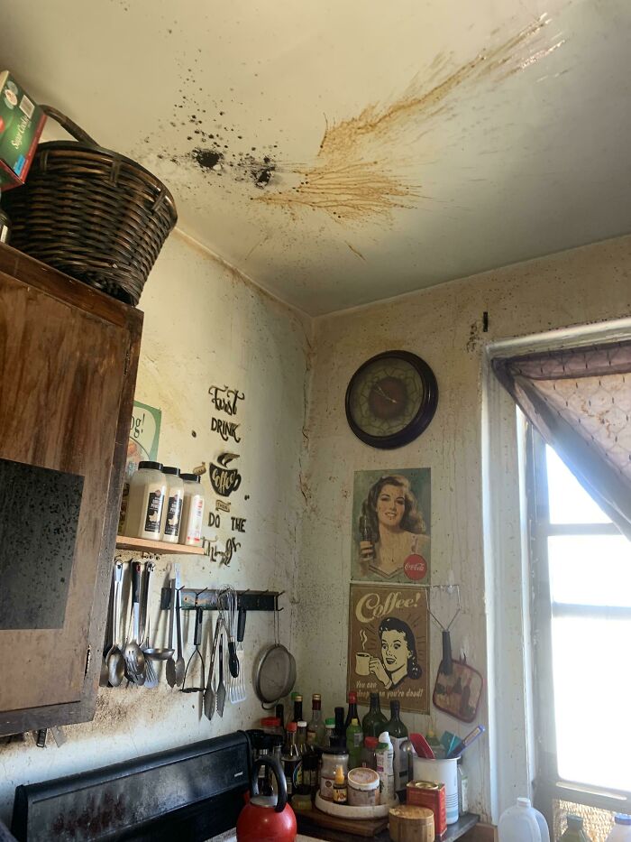  Hoy, aprendí que una cafetera puede explotar