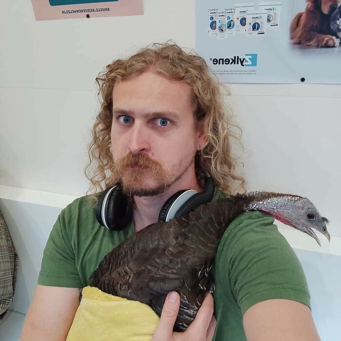 Llevando a mi pavo al veterinario