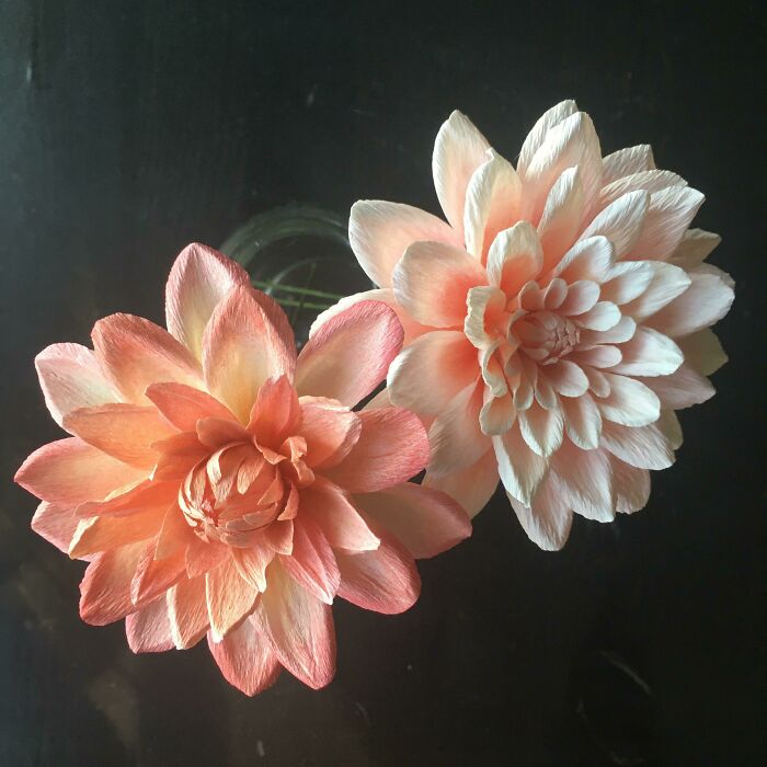 ¡Mi dalia de papel por fin luce como una dalia! (Izquierda: primer intento)