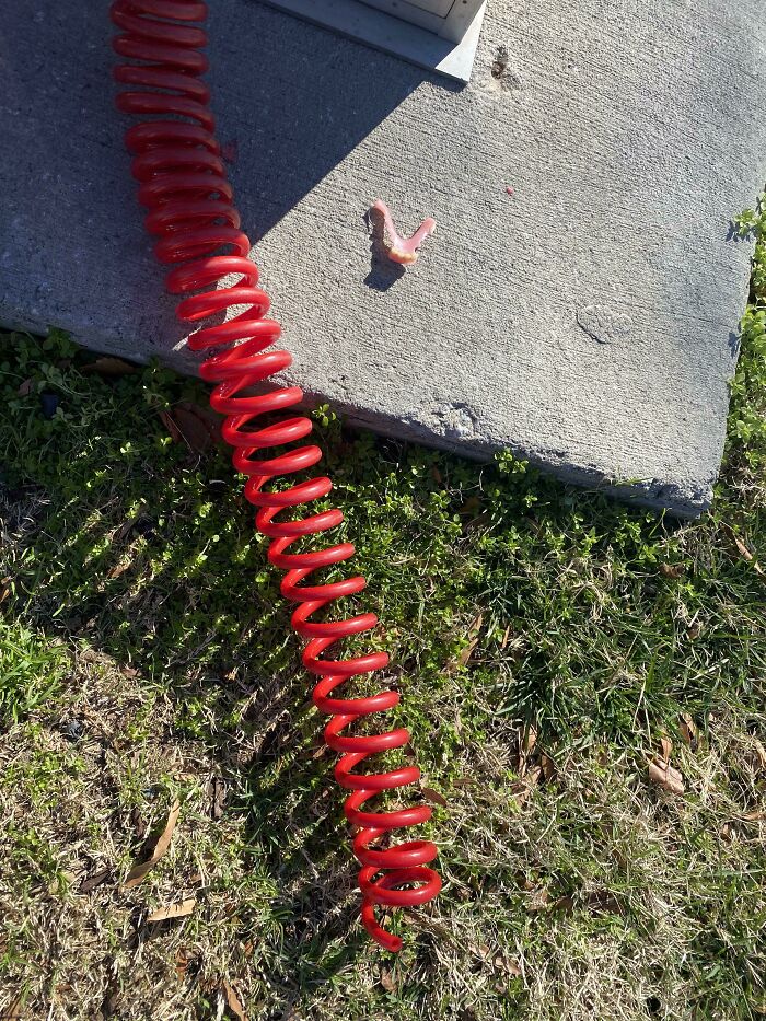 Querida persona que se marchó con la bomba de aire aún pegada a la rueda, se olvidó los dientes