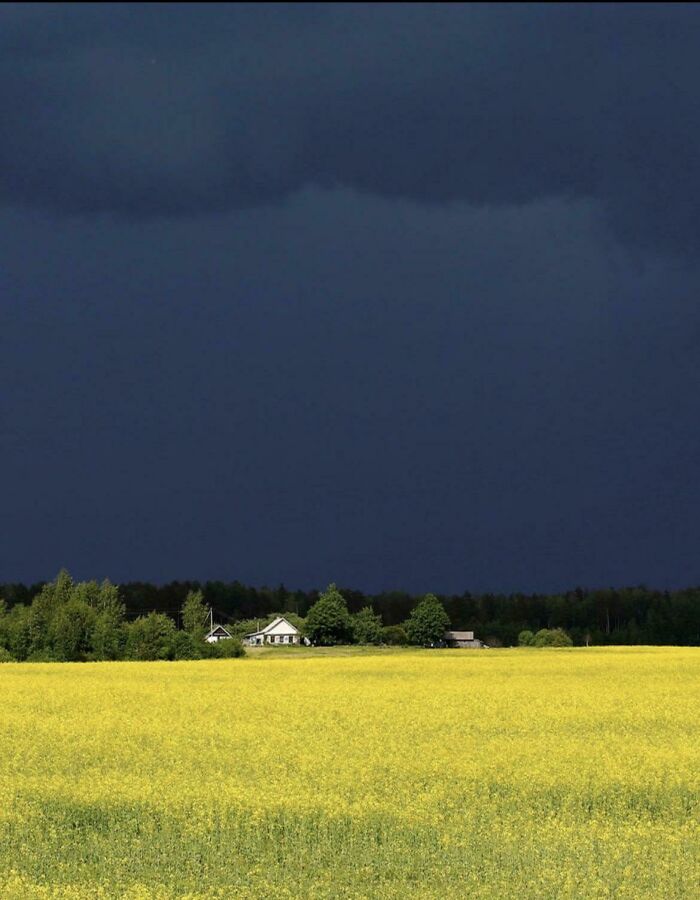 La calma antes de la tormenta