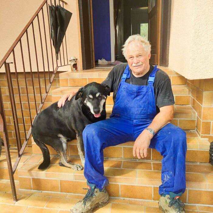 Esta es Bella, nuestra perra de granja de 13 años. Acabamos de adoptarla cuando alquilamos nuestra casa de campo porque su dueño (un granjero jubilado) no quería llevársela de su casa