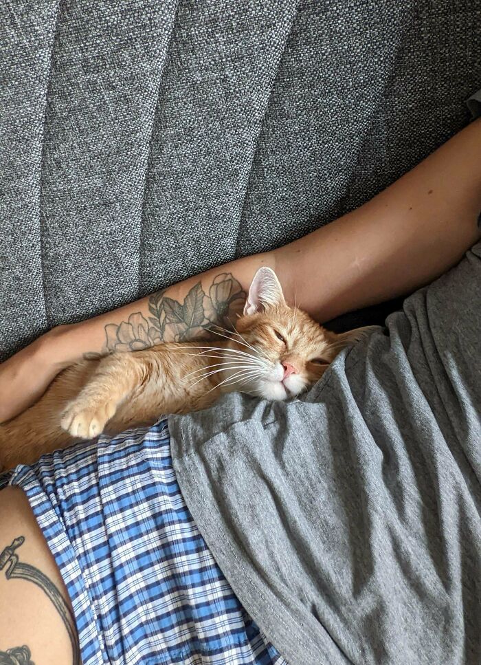 Sólo quería compartir mi nuevo miembro de la familia que adopté ayer, el único "hijo" que tendré. Es increíble el amor que se puede recibir de un animal. ¡Lo amamos!