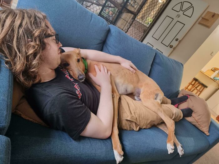 Nuestro chico recién adoptado, Obi, se está adaptando bastante bien