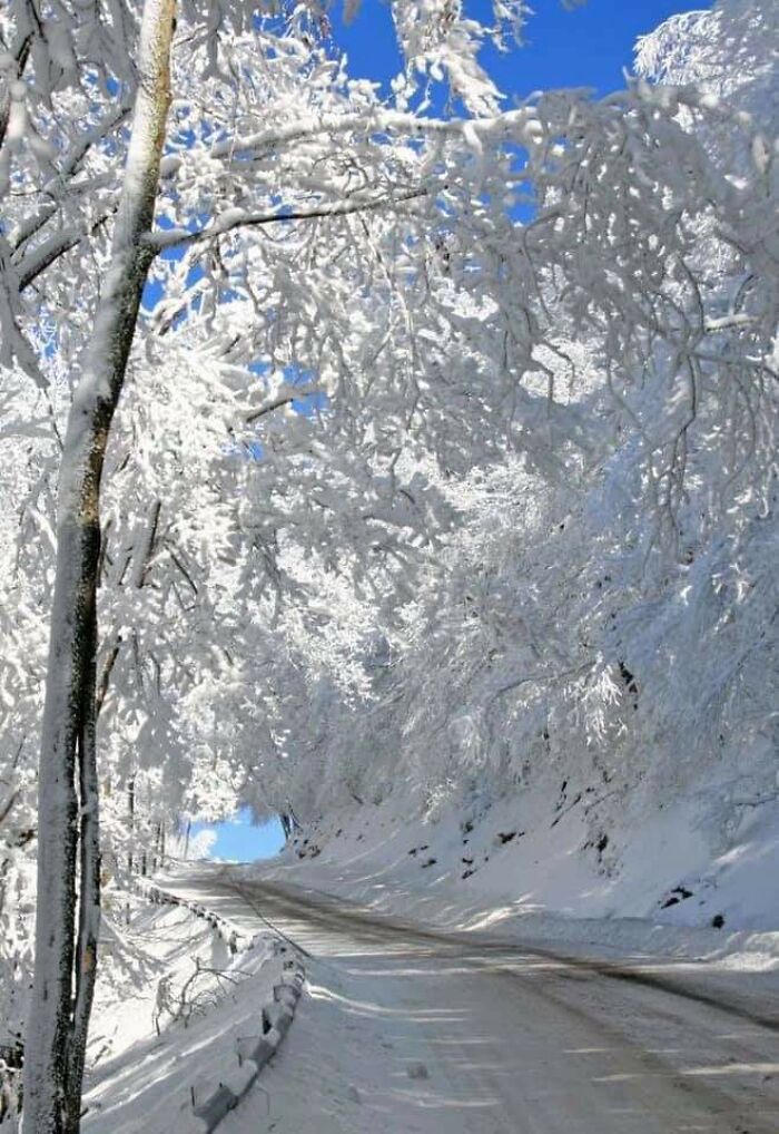  Magia invernal en Virginia Occidental