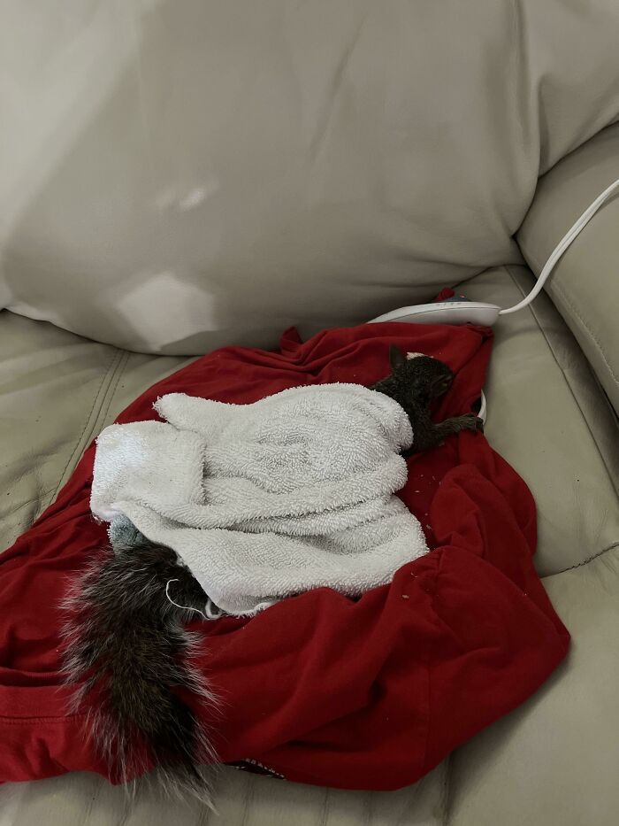 35 Of The Most Surreal Pics That Sum Up The Catastrophe Followed By Hurricane Ian