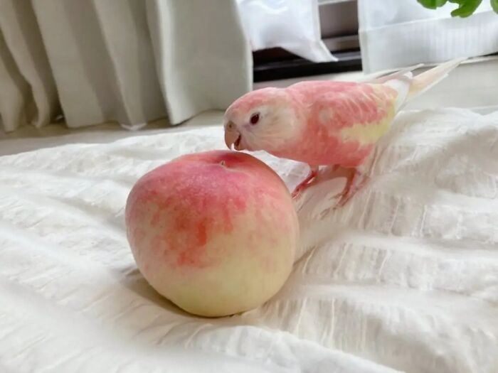 50 Times People Noticed Something Dreamlike And Shared Photos On The 