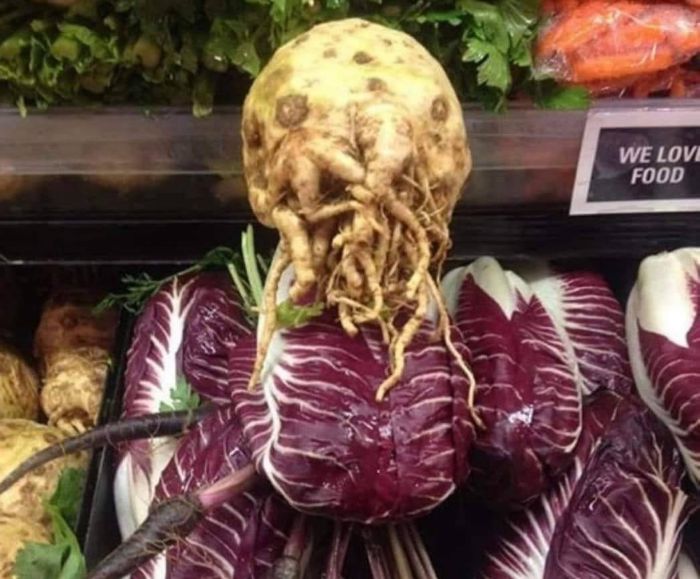 40 Confusing Images Where "Things Only Get Weirder" The Longer You Look