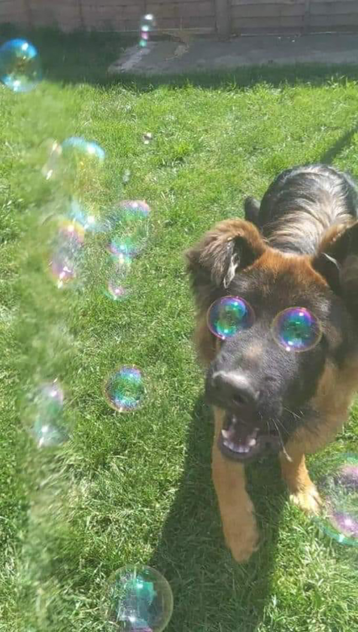 50 Times People Noticed Something Dreamlike And Shared Photos On The 