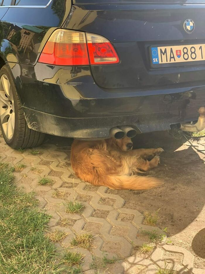 50 Times People Noticed Something Dreamlike And Shared Photos On The 