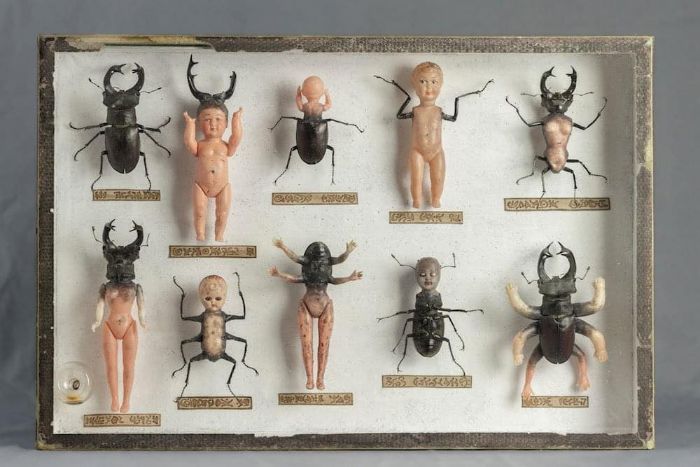 40 Confusing Images Where "Things Only Get Weirder" The Longer You Look