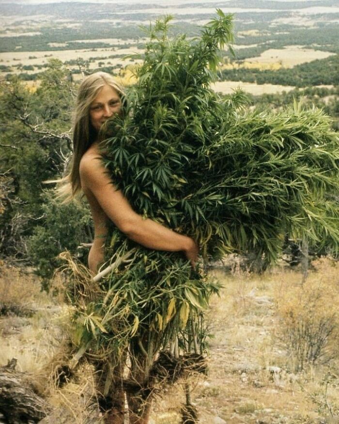 Las damas frondosas de la década de los 70