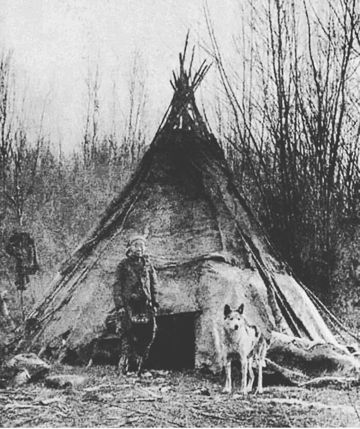 Una de las primeras fotos que muestran a un nativo americano con un lobo - A diferencia de los mitos creados sobre los lobos por los colonos, los indios mantenían una relación estrecha y respetuosa con los lobos