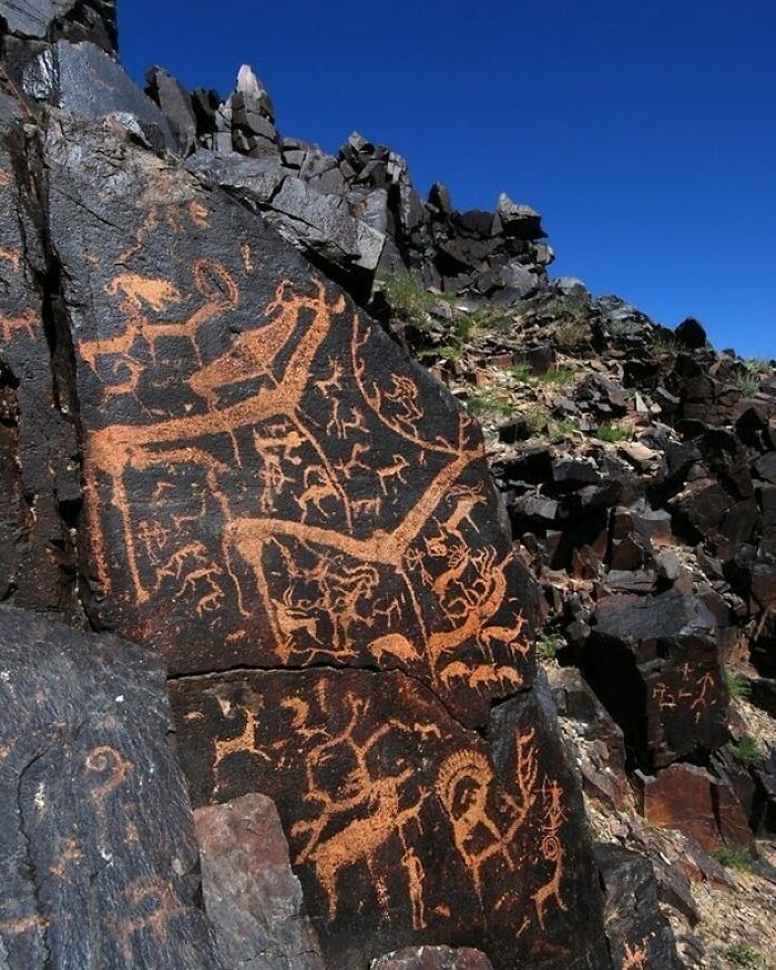 Tallas prehistóricas de ciervos en una roca. Bayankhongor, Mongolia