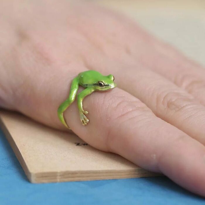 Accesorios de ranas arbóreas