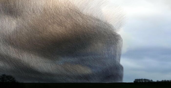 Imágenes creativas: "Cortina de humo" de Kathryn Cooper (Mención especial)