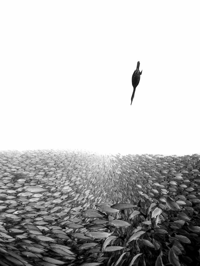 En blanco y negro: "Entre dos mundos" de Henley Spiers (Oro)