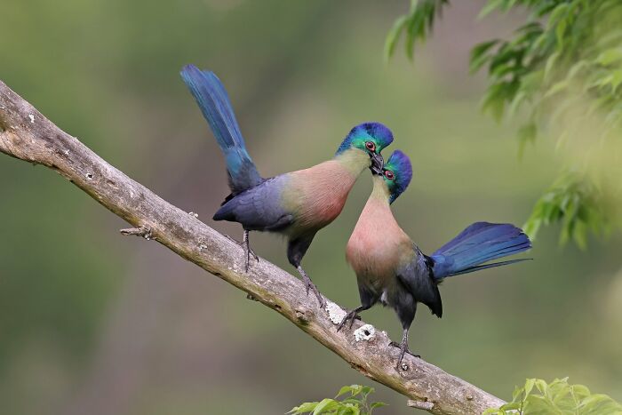 Mejor retrato: "La pareja de enamorados" de Richard Flack (Bronce)