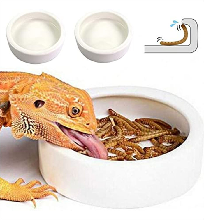 Esto apareció en mis sugerencias de Amazon