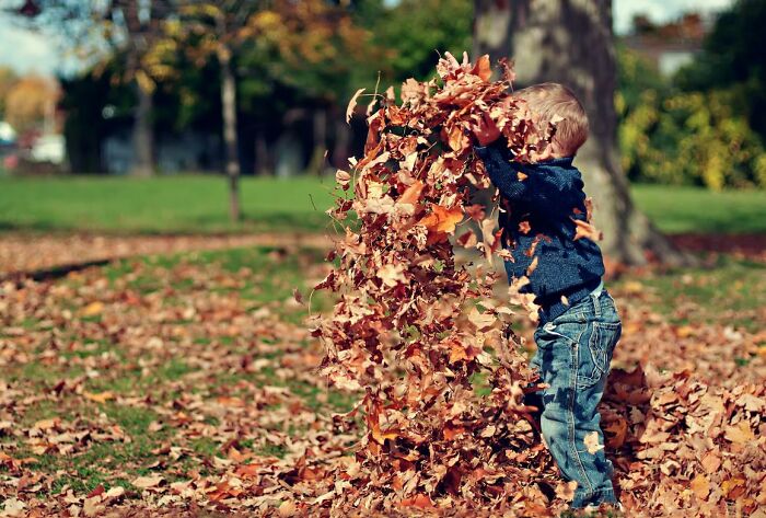 "¿Cuál es la razón más ridícula por la que tu hijo tuvo una rabieta?": 25 padres responden con divertidas anécdotas