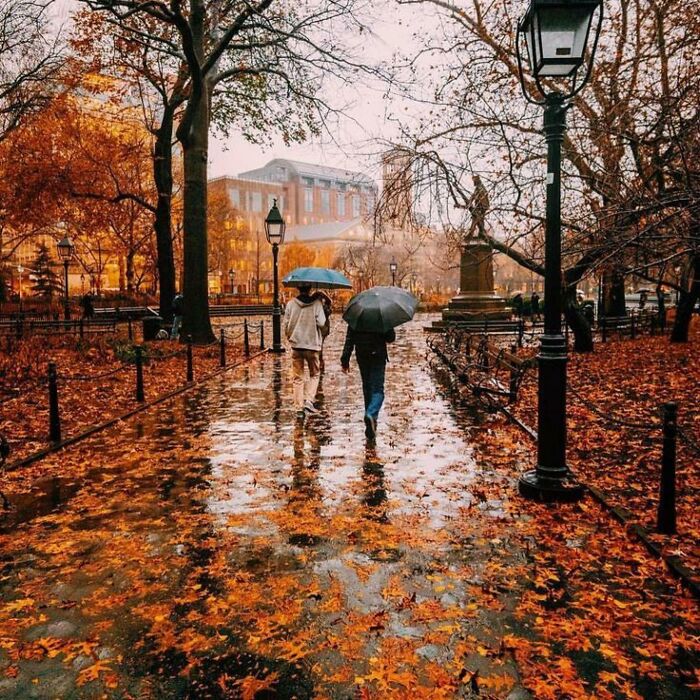 No hay nada más acogedor que un día lluvioso en otoño