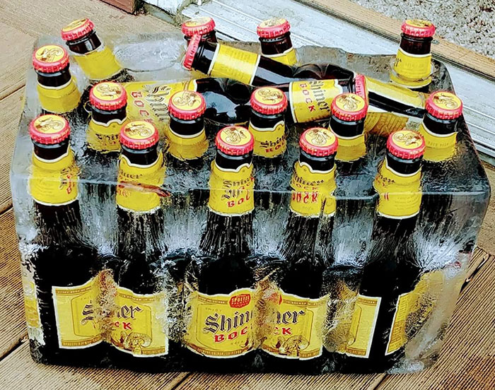 Dejé la cerveza en un cubo fuera. La esposa la encontró