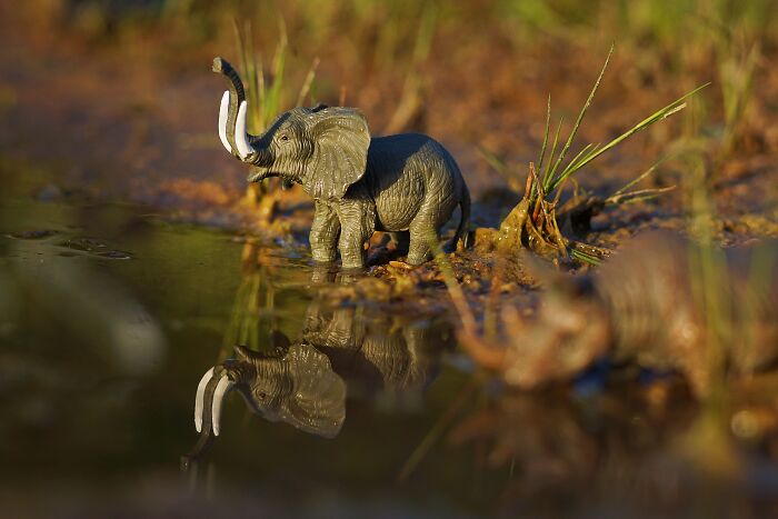 I Used My Camera To Recreate How My Kids See Their Toys (25 Pics)