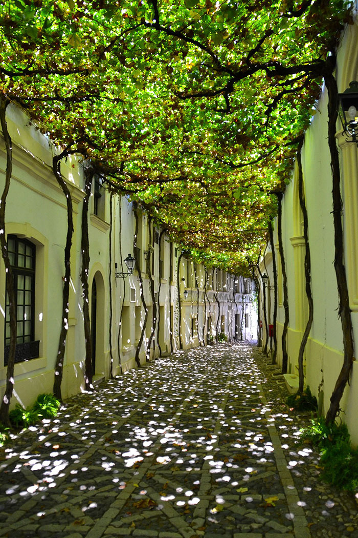 Esta sombra en una calle de Jerez, España