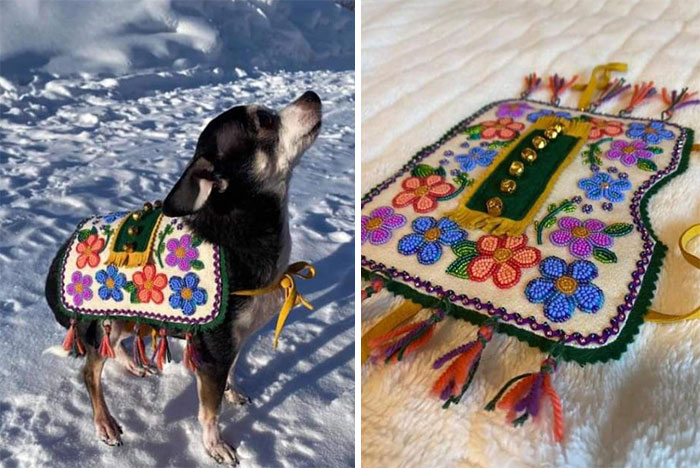 En mi parte de Canadá tenemos un festival de invierno en febrero llamado Yukon Sourdough Rendezvous