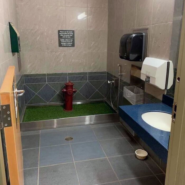 El baño para perros de servicio en el aeropuerto de Kelowna, Columbia Británica, Canadá