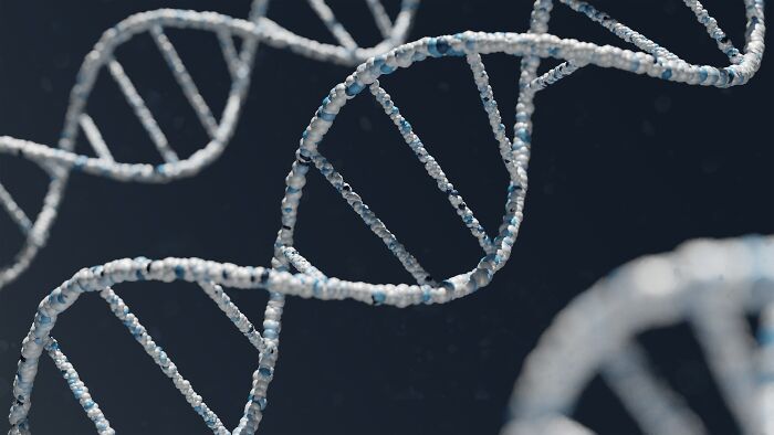 30 Datos inútiles que se te quedarán grabados en el cerebro, compartidos por nuestra comunidad