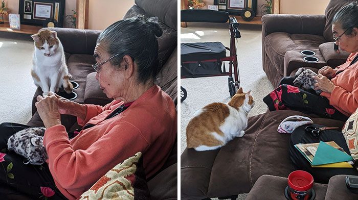 Mi gato rompió su juguete favorito. Aquí una foto de mi abuela cosiéndolo otra vez