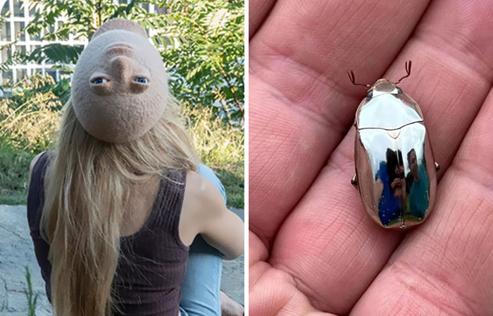 «Sí, eso existe»: 20 Cosas que quizá no sabías que existían, compartidas en instagram (nuevas fotos)