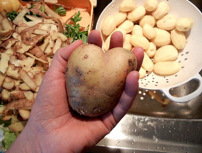 20 Ideas y "consejos" sobre cocina que irritan a la gente