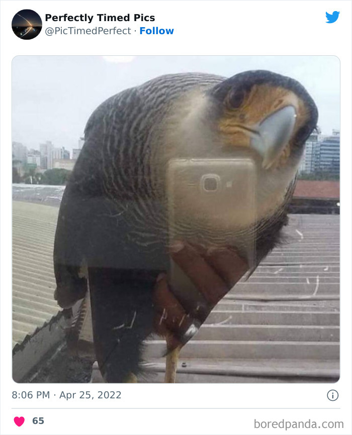 50 