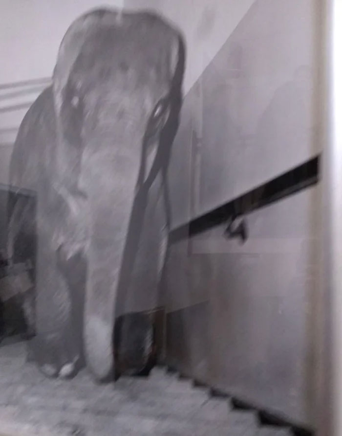 Apparently, There's A Dedicated Twitter Page Called "Cursed Images" And Here Are 30 Of The Weirdest Photos Posted On It