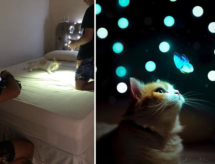 This Photographer Shares The Truth Behind His Perfect Professional Photos (30 New Pics)