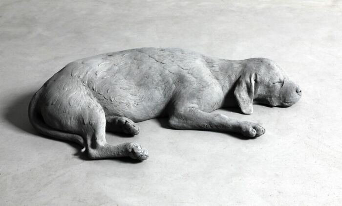 Artista: Hans Op De Beeck