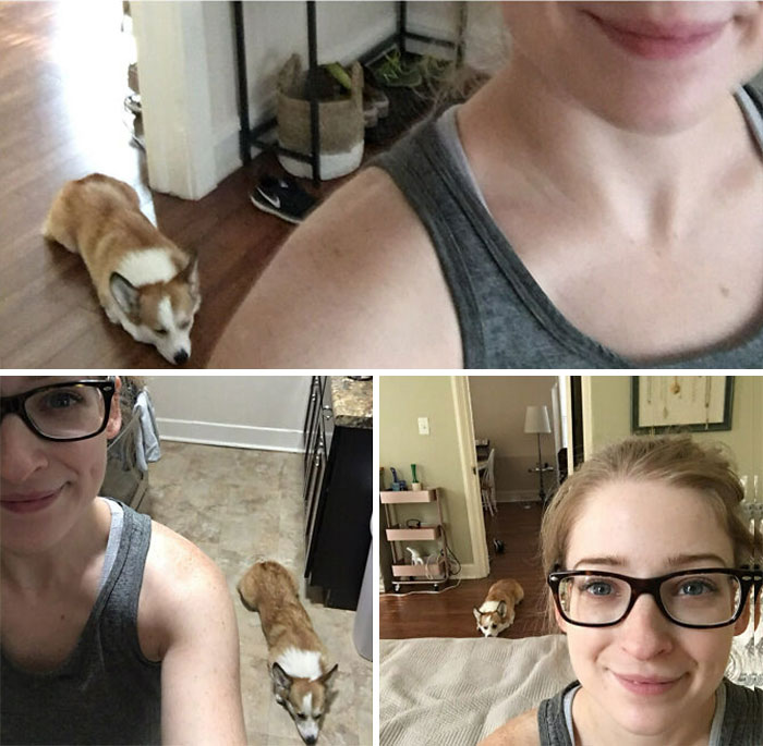 En los días perezosos, mi corgi me sigue a regañadientes por toda la casa, dejándose caer dramáticamente detrás de mí en cada habitación