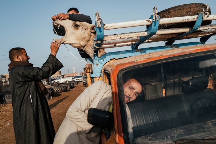 Fotografía en la calle: 3er clasificado, “De regreso a Birqash” por Jonathan Jasberg