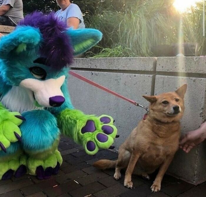 This Instagram Page Is Sharing Cursed Images And Here Are 50 Of The Best Of The Worst Ones