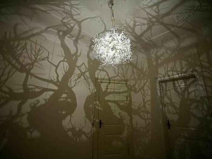 El candelabro del ~bosque tenebroso~ 