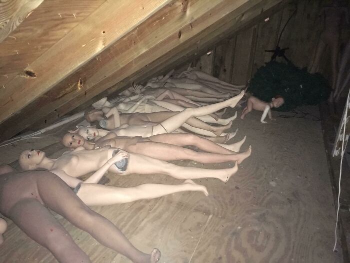 Entré en el ático de una casa que estábamos viendo y...